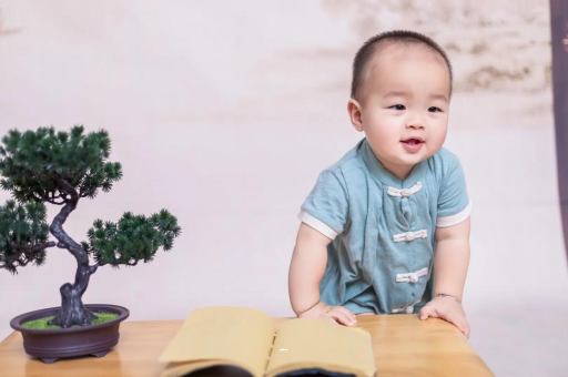本溪可爱的企鹅宝宝